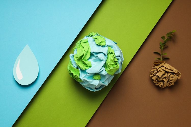 What Is a Sustainability Report and Why Every Business Needs One?